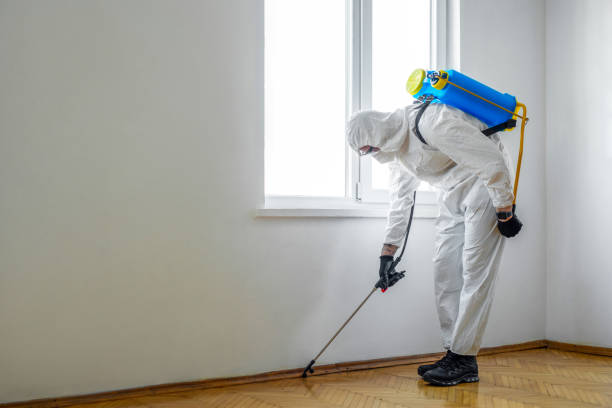 Best Residential Pest Control  in Dent, OH